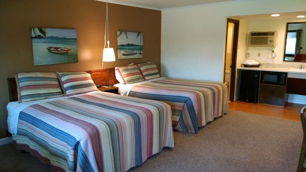 Cape Pines Motel バクストン エクステリア 写真